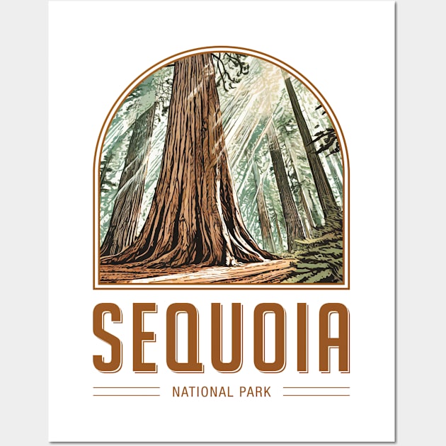 Sequoia National Park Wall Art by Curious World